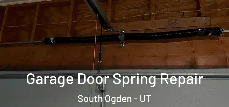  Garage Door Spring Repair South Ogden - UT